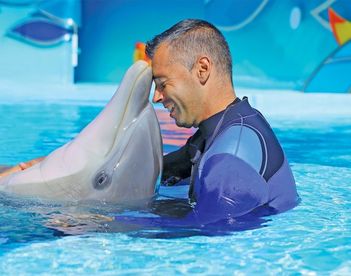 Visitors interacting with dolphins at Zoomarine, Albufeira, during the Dolphin Emotions Experience.