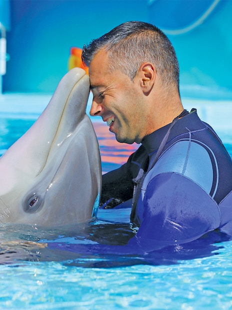 Man interacting with a dolphin at Zoomarine's Dolphin Emotions Experience.