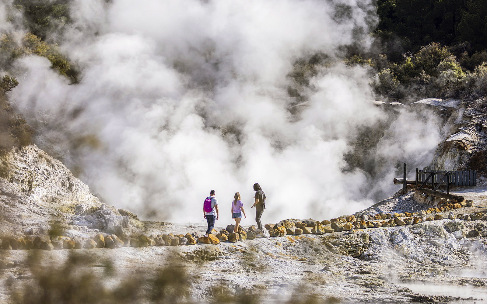 Tourists walking through steam at Hells Gate Geothermal Park.