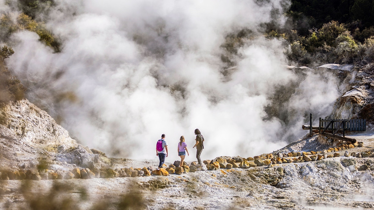 Tourists walking through steam at Hells Gate Geothermal Park.