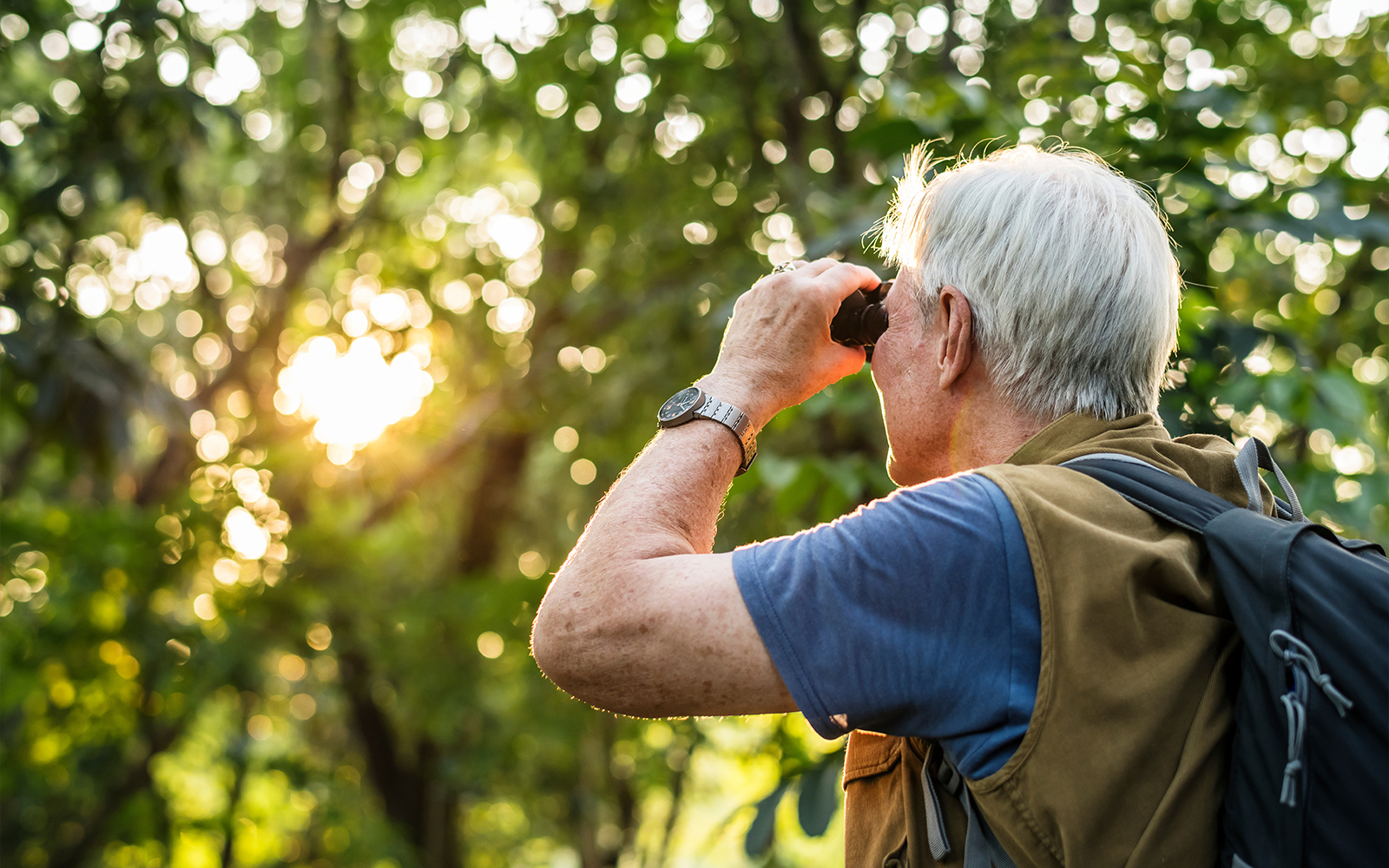 Elderly man using binoculars for bird watching in a lush green park.
