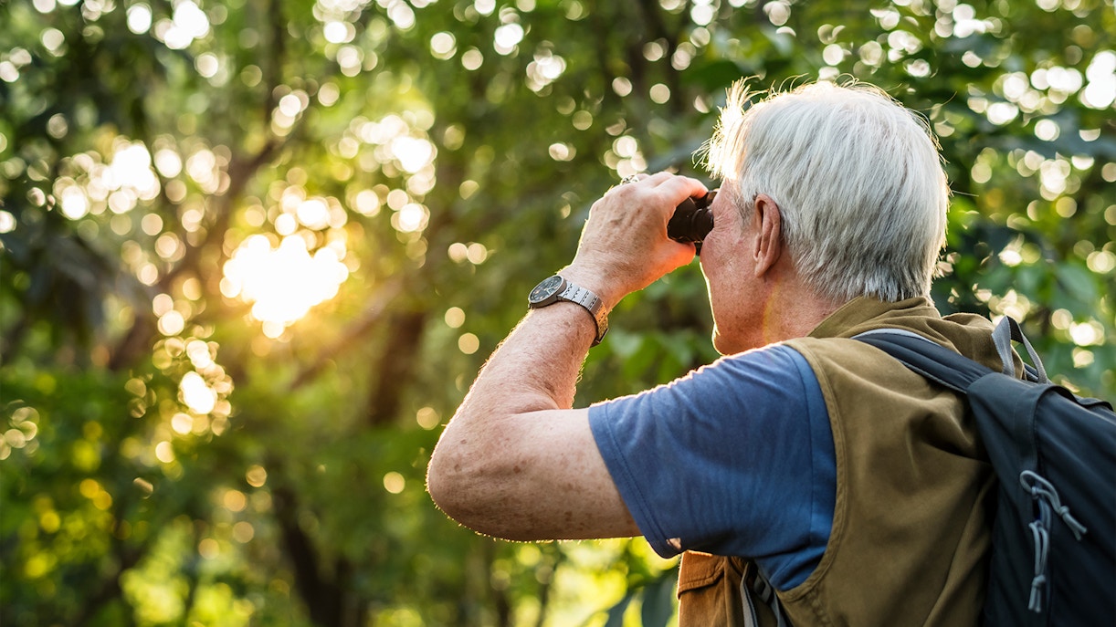 Elderly man birdwatching with binoculars in a sunlit forest.