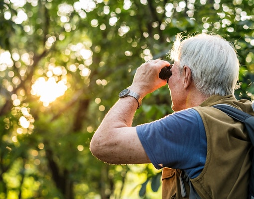 Elderly man birdwatching with binoculars in a sunlit forest.