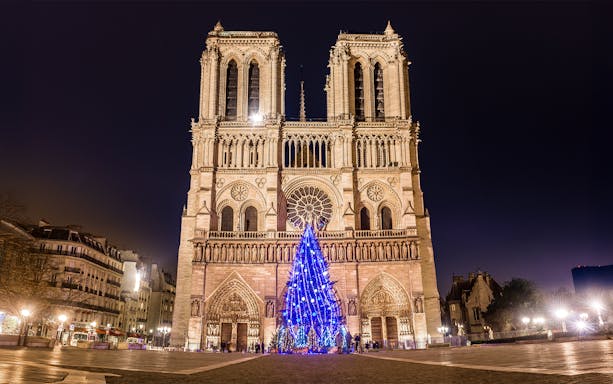 Notre-Dame Cathedral with Christmas lights and tree, Paris Christmas light tour.
