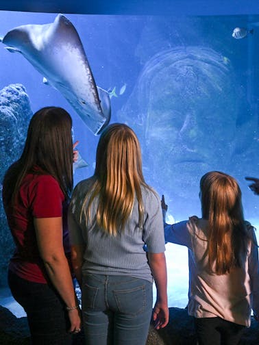 SEA LIFE Manchester Aquarium