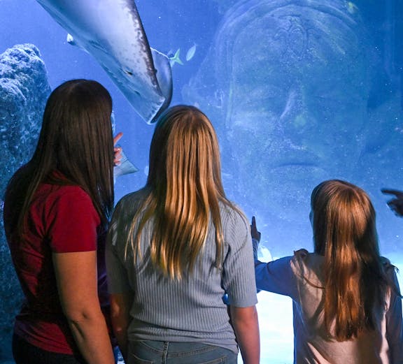 Children enjoying rides at Dubai theme park, featuring roller coasters and interactive attractions.