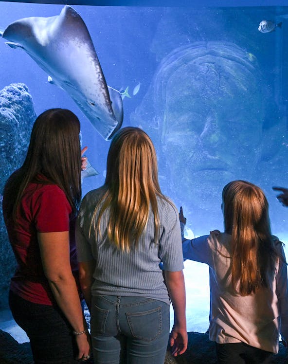 Children enjoying rides at Dubai theme park, featuring roller coasters and interactive attractions.