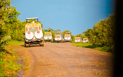 From Nairobi: 7-Day Masai Mara & Lake Nakuru Safari