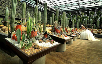 Cactus garden display at Nong Nooch Tropical Garden, Thailand.