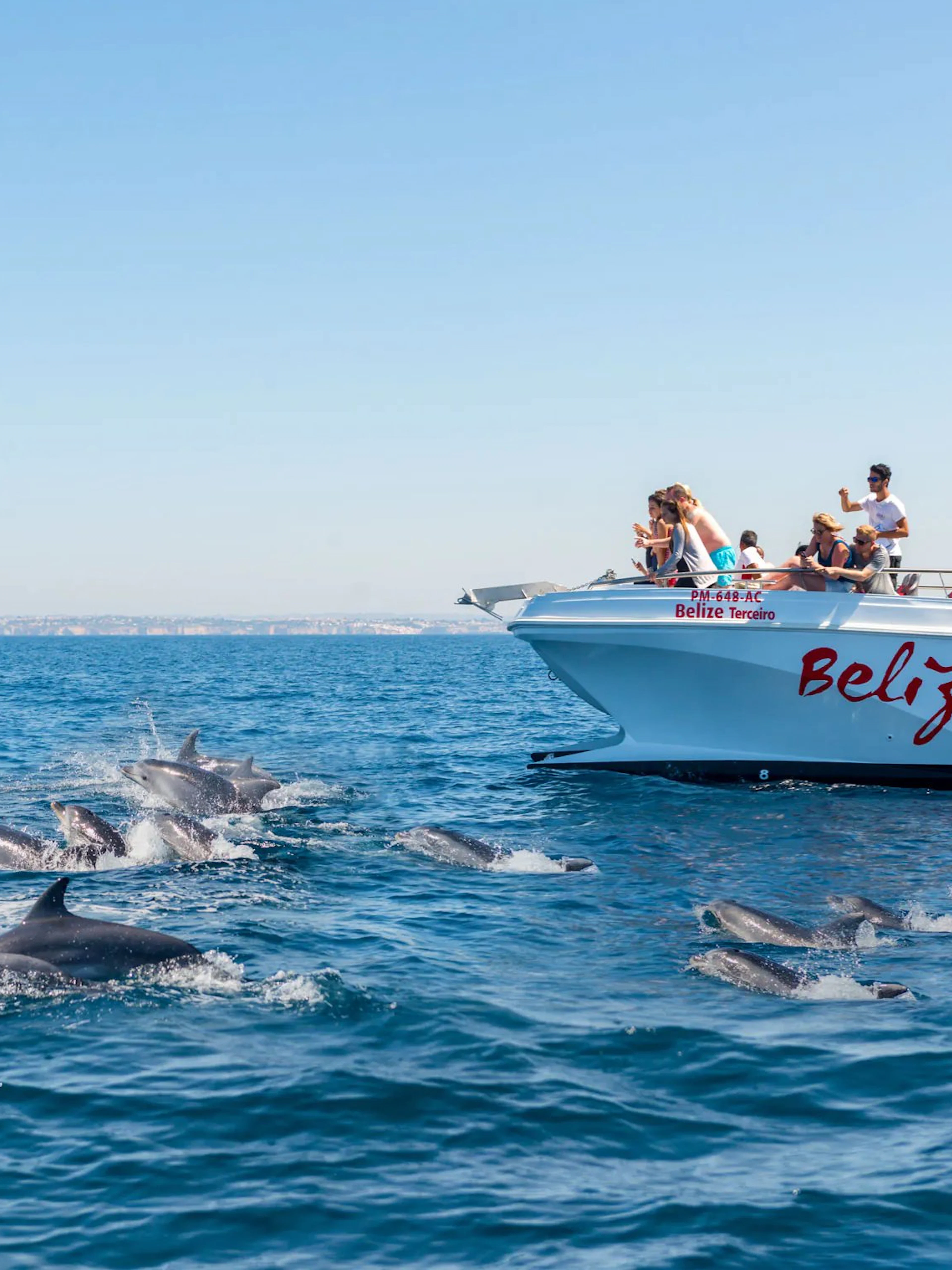 Catamaran with tourists watching dolphins near Albufeira during Benagil Cave cruise.