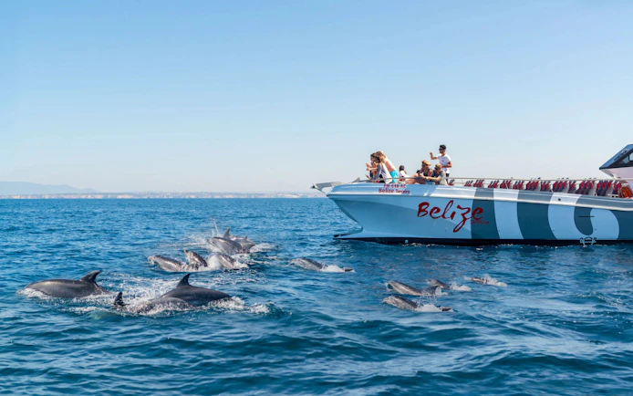 Catamaran with tourists watching dolphins near Albufeira during Benagil Cave cruise.