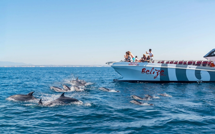 Catamaran with tourists watching dolphins near Albufeira during Benagil Cave cruise.