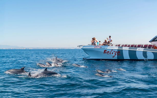 Catamaran with tourists watching dolphins near Albufeira during Benagil Cave cruise.