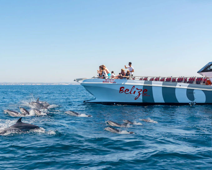 From Albufeira: Benagil Cave Catamaran Cruise & Dolphin Watching