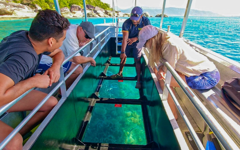 Tourists on a glass bottom boat viewing marine life during Fitzroy Island tour from Cairns.