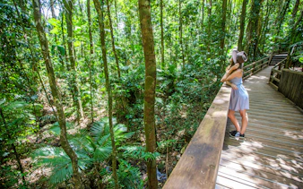 Woman on boardwalk in Daintree Rainforest, surrounded by lush greenery, part of Great Barrier Reef tour.
