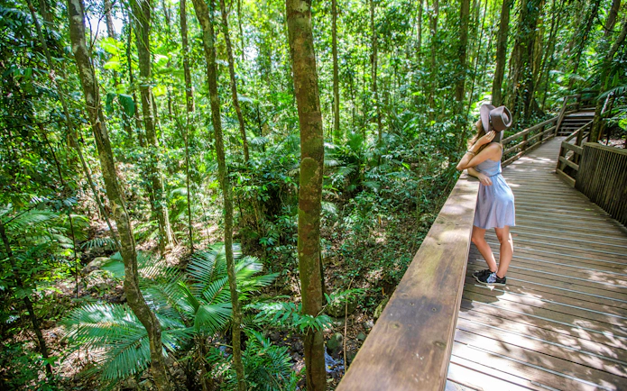 Woman on boardwalk in Daintree Rainforest, surrounded by lush greenery, part of Great Barrier Reef tour.