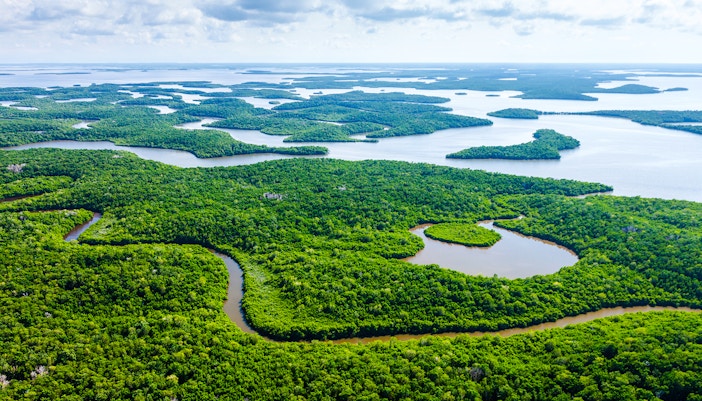 Aerial view of lush green islands and waterways in Everglades National Park.
