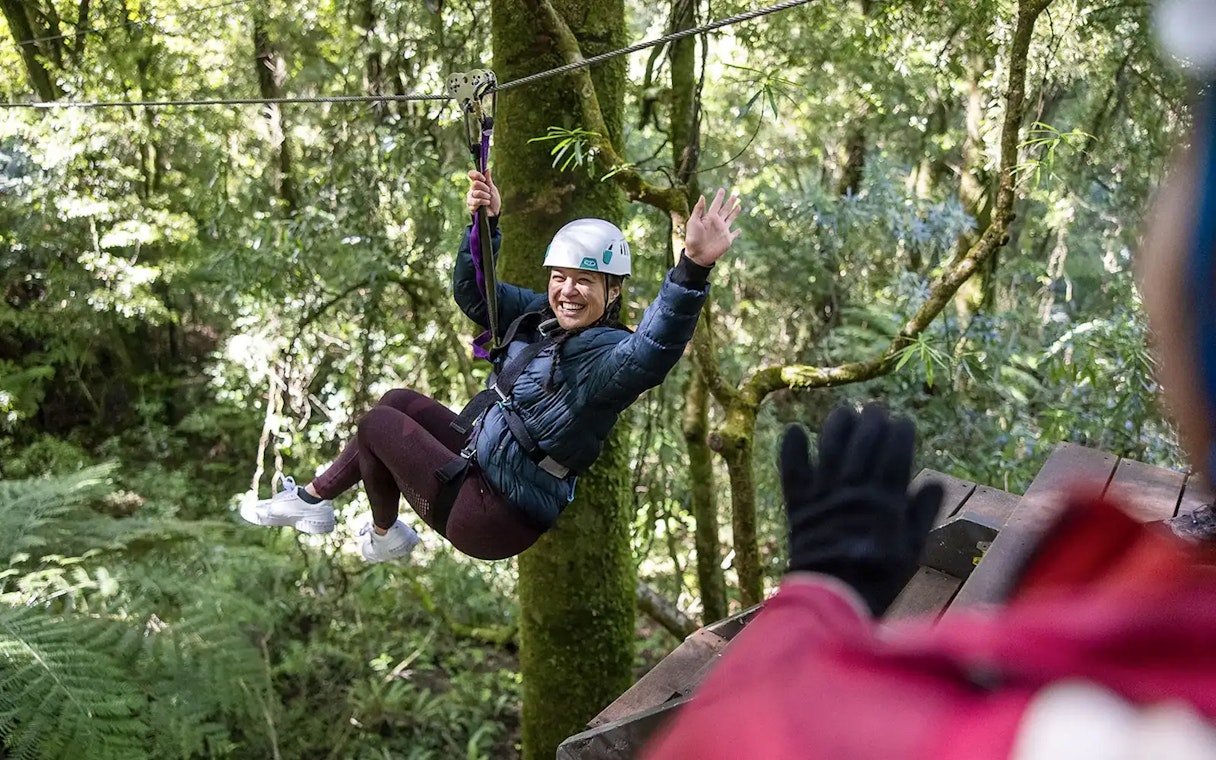Ziplining through lush Rotorua forest, New Zealand.