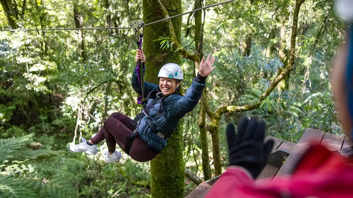 Ziplining through lush Rotorua forest, New Zealand.
