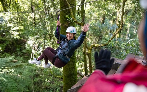 Ziplining through lush Rotorua forest, New Zealand.