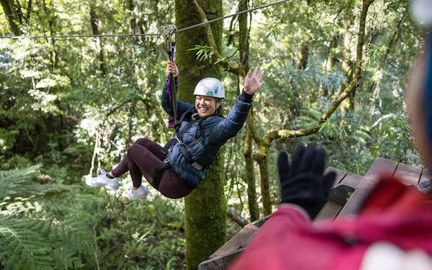 Ziplining through lush Rotorua forest, New Zealand.