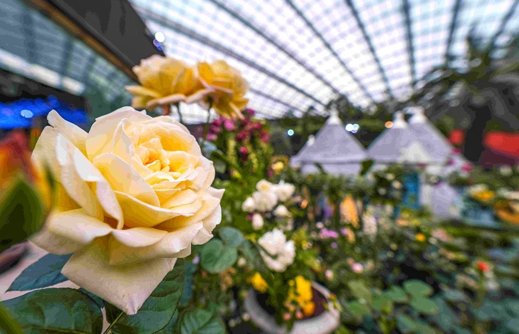 Flower Dome at Gardens by the Bay