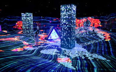 Immersive light displays at teamLab Forest, E・ZO FUKUOKA, Japan.