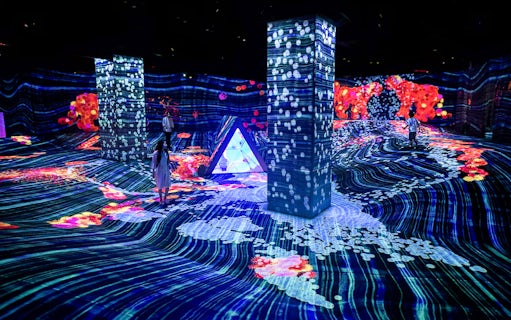 Immersive light displays at teamLab Forest, E・ZO FUKUOKA, Japan.