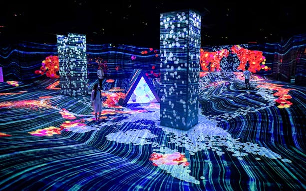 Immersive light displays at teamLab Forest, E・ZO FUKUOKA, Japan.