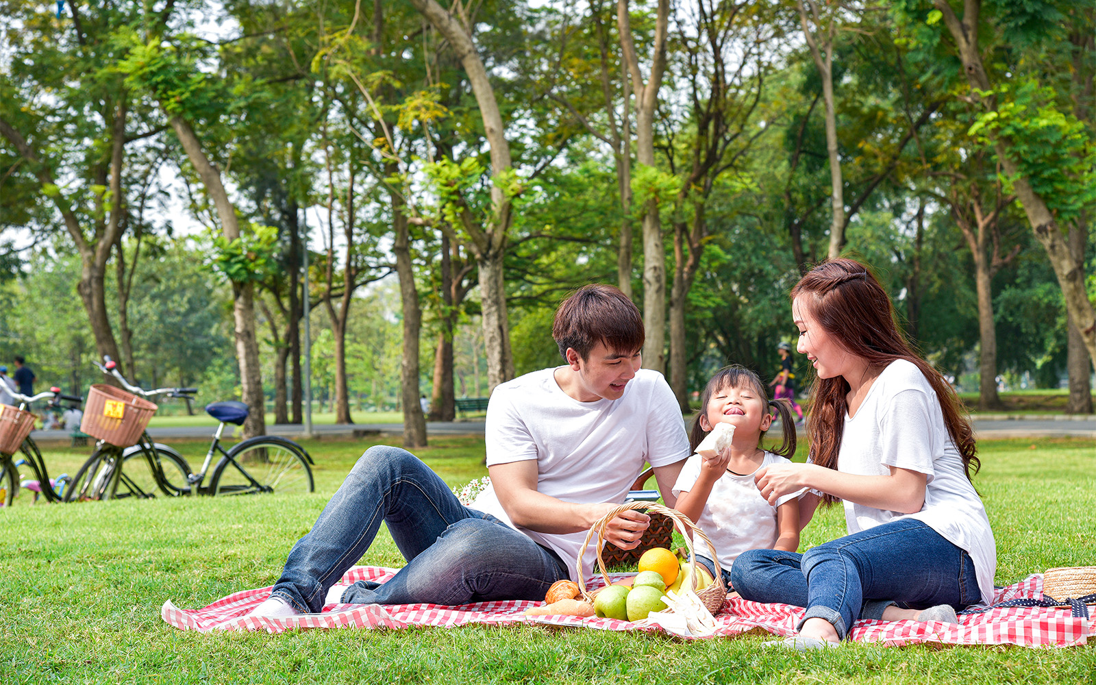 Plan a picnic with a view
