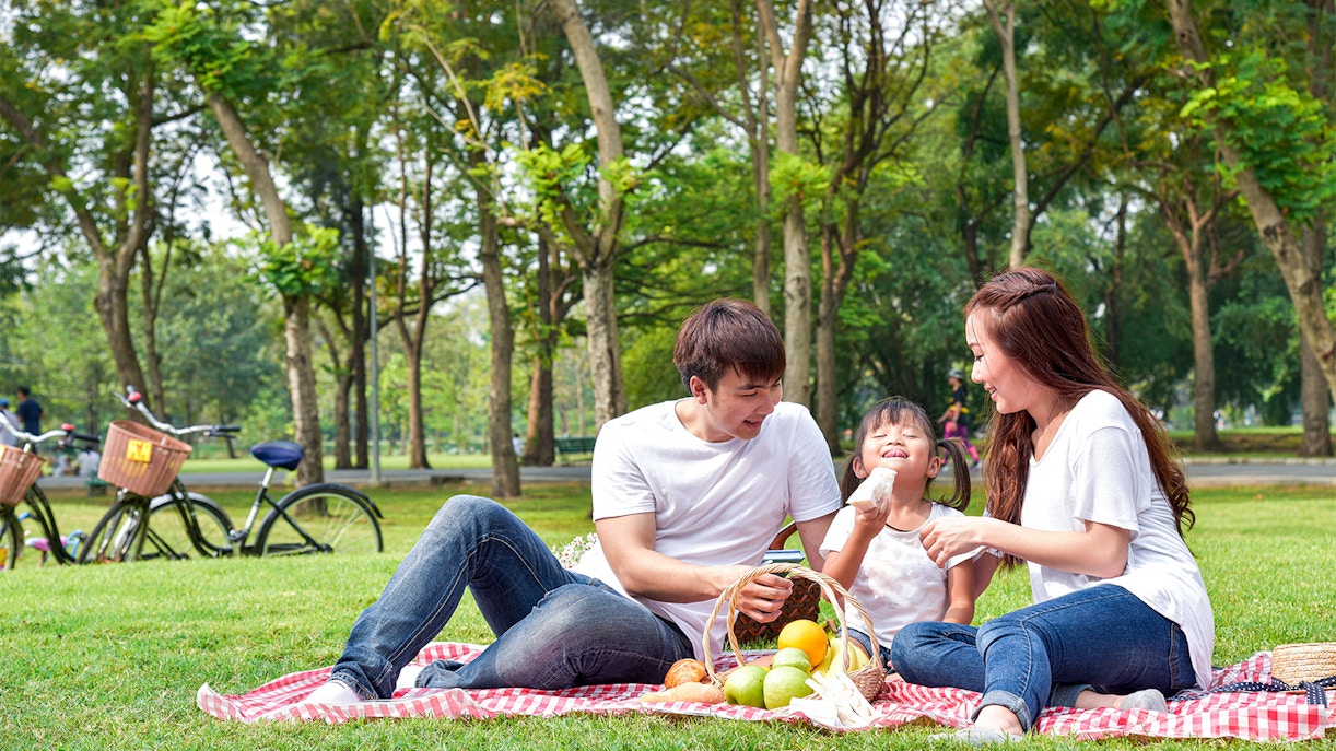 Plan a picnic with a view