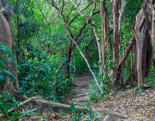 Escape Penang