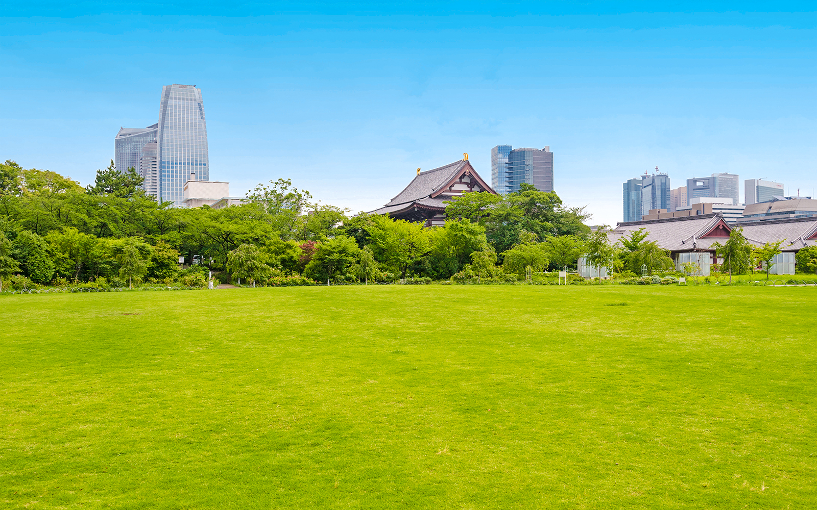 Shiba Park in Tokyo with green lawn, trees, and city skyline in the background.