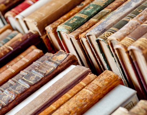Antique books with ornate spines lined up on a shelf.