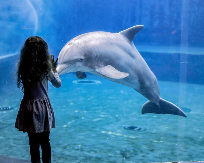 Genoa Aquarium Tickets