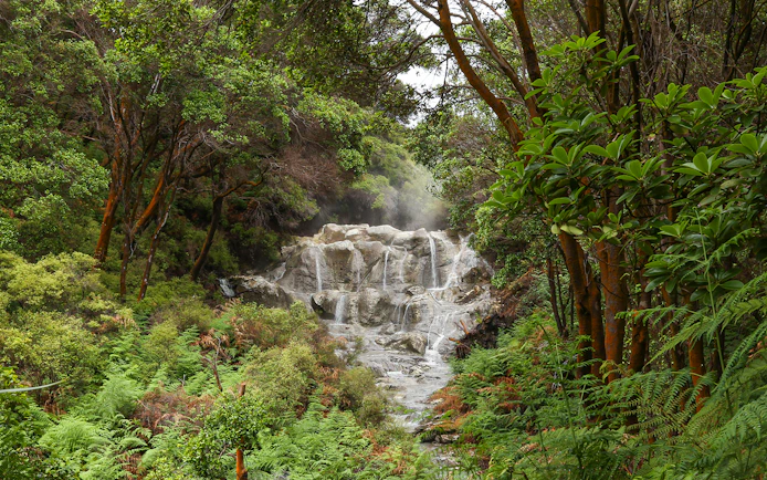Kakahi hot waterfall surrounded by lush greenery at Hells Gate Geothermal Walk.