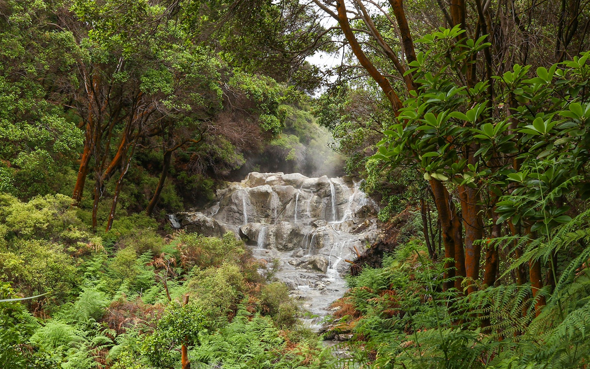 Kakahi hot waterfall surrounded by lush greenery at Hells Gate Geothermal Walk.