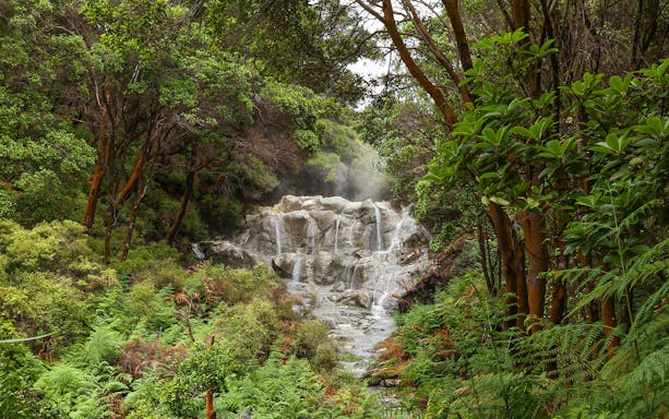 Kakahi hot waterfall surrounded by lush greenery at Hells Gate Geothermal Walk.