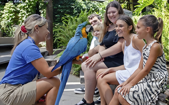 Macaw parrot interacting with visitors in Monte Calamorro, Spain.