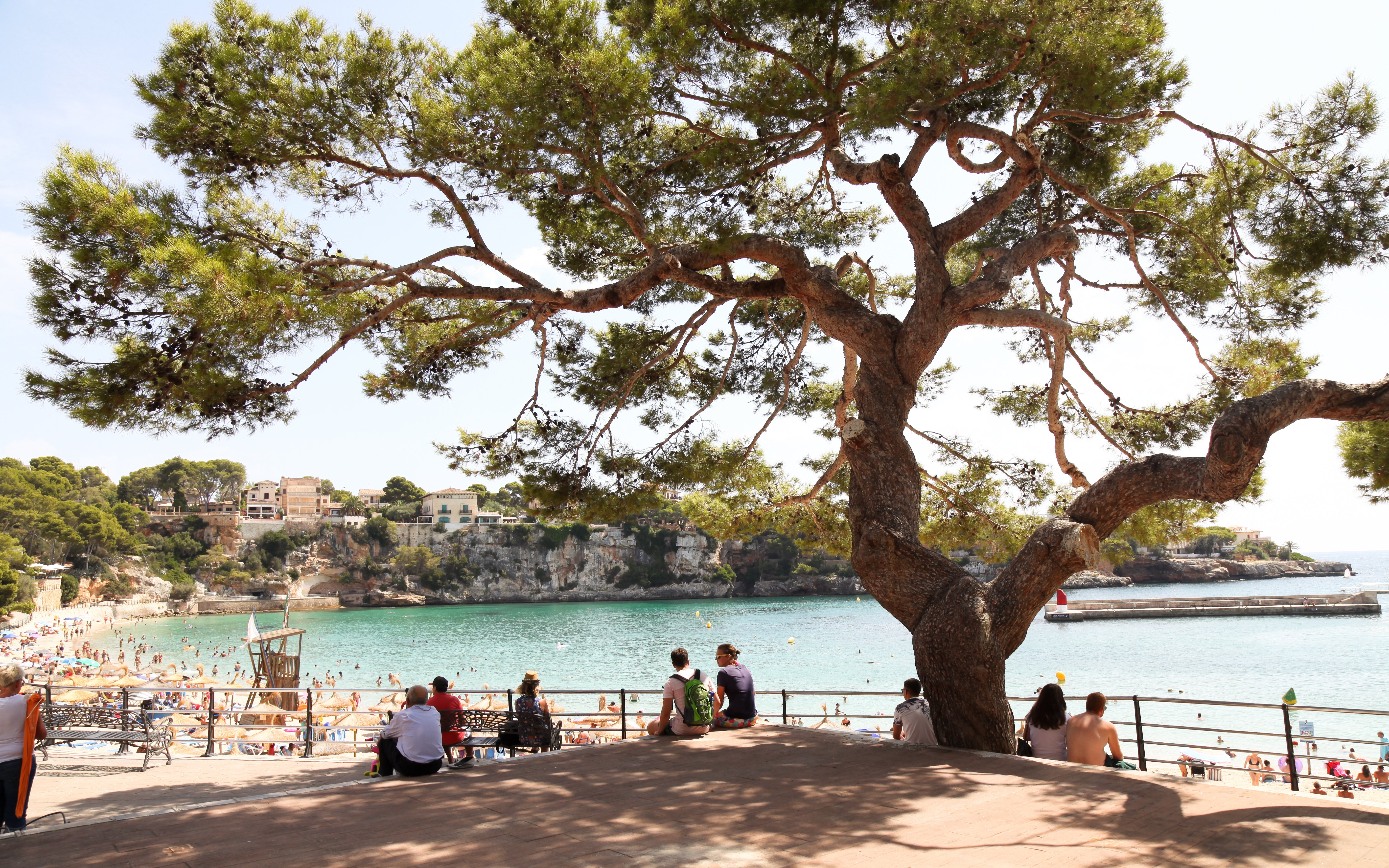 Porto Cristo beach view through a large tree with people sitting on a promenade.