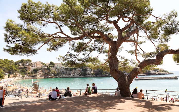 Porto Cristo beach view through a large tree with people sitting on a promenade.