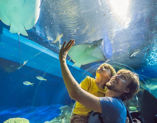 Embark on a global underwater odyssey at SEA LIFE Berlin