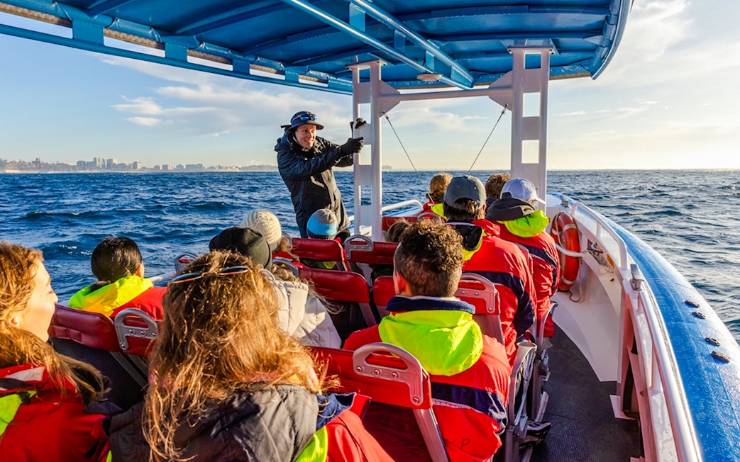 Boat tour guide leading whale watching excursion in Newcastle, Australia.