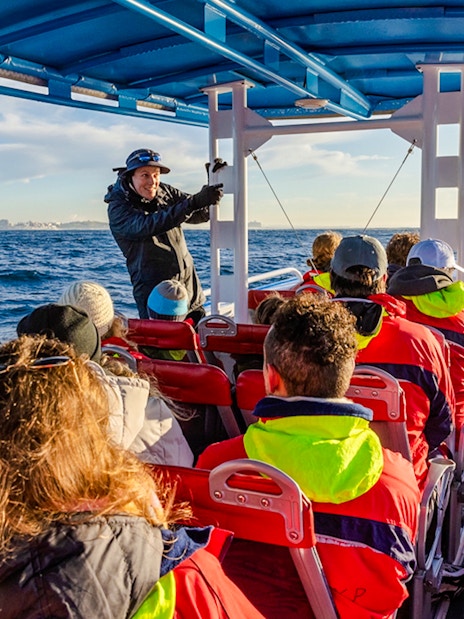 Boat tour guide leading whale watching excursion in Newcastle, Australia.