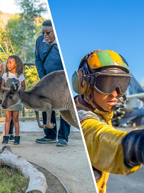 San Diego Zoo Safari Park kangaroo encounter and USS Midway Museum aircraft deck scene.