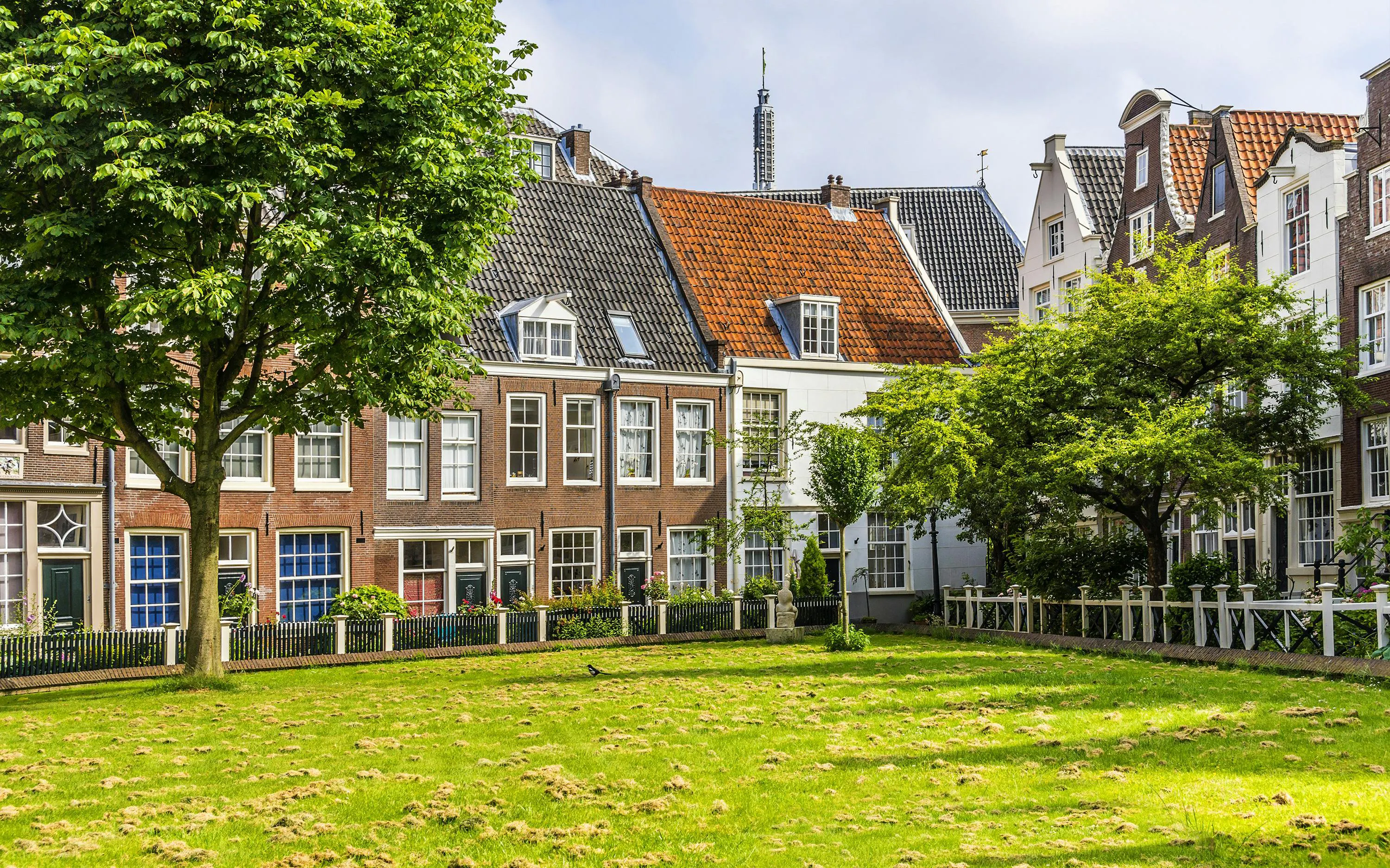 Hofjes courtyard with historic houses and greenery in Amsterdam.