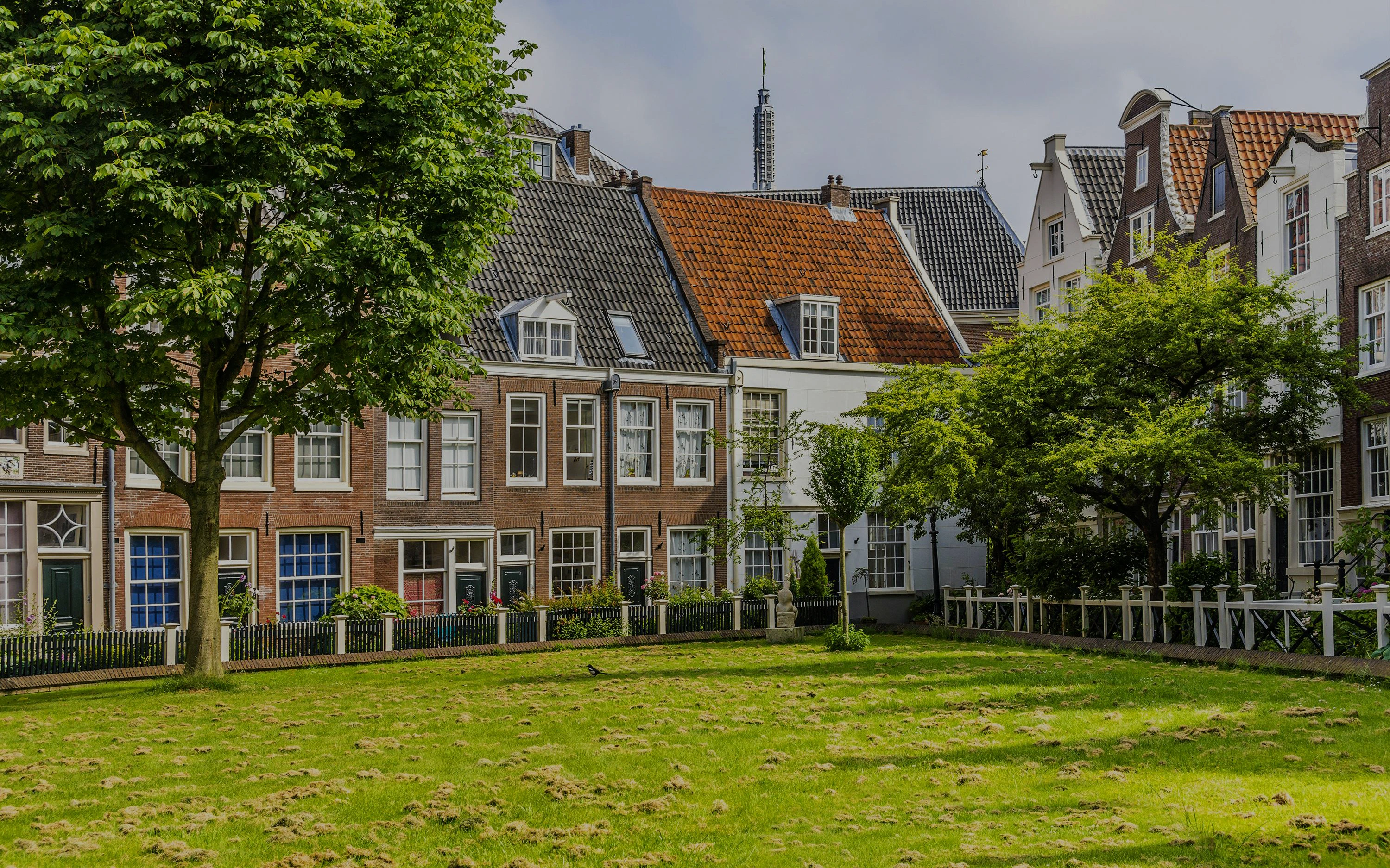 Hofjes courtyard with historic houses and greenery in Amsterdam.