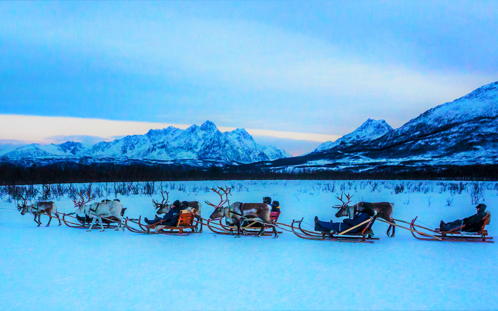 Reindeer pulling sleds with people in snowy landscape, mountains in background, showcasing Sami culture.