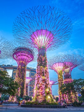 Supertree Grove at Gardens by the Bay, Singapore, illuminated at dusk.